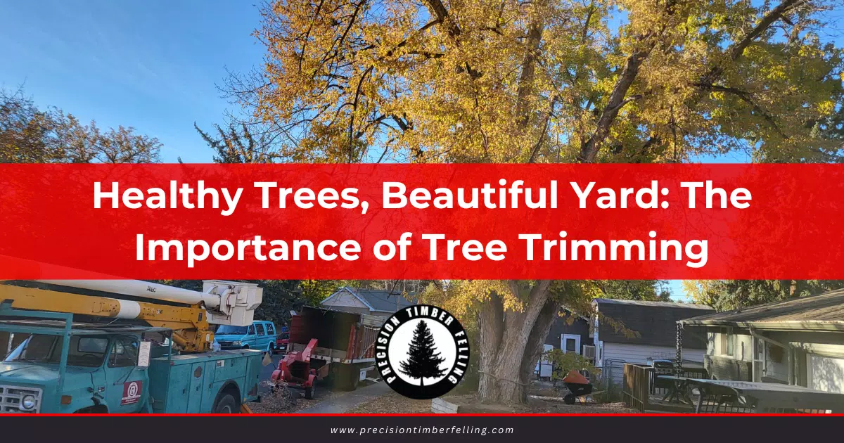 tree trimming - Precision Timber Felling