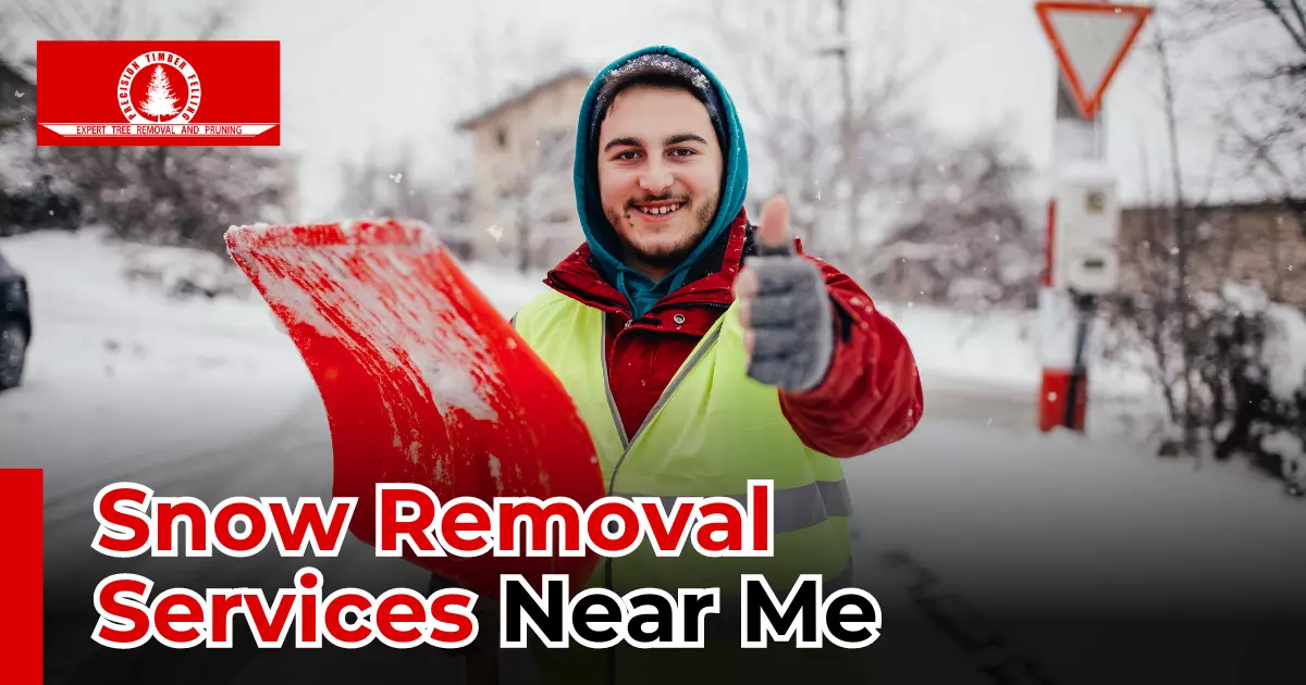 Snow Removal Services Near Me