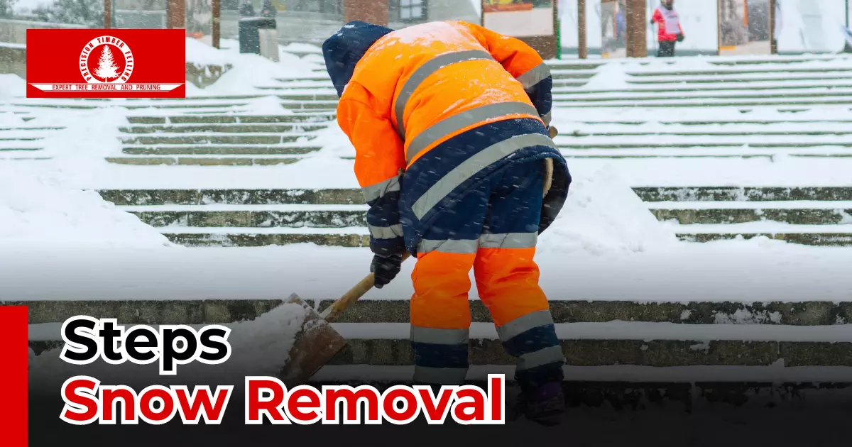 Steps Snow Removal 