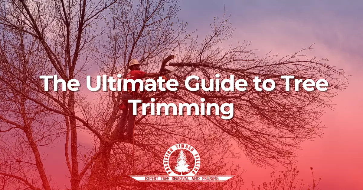 The Ultimate Guide to Tree Trimming
