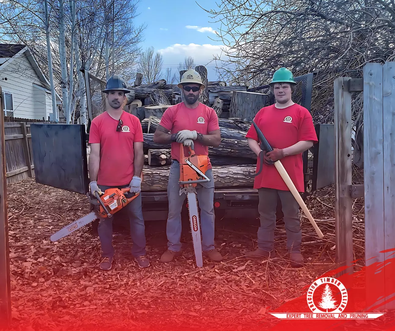 About Our Professional Tree Service Company in Fort Collins, Colorado About Our Professional Tree Service Company in Fort Collins Colorado