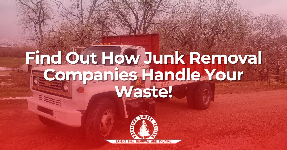 Find Out How Junk Removal Companies Handle Your Waste