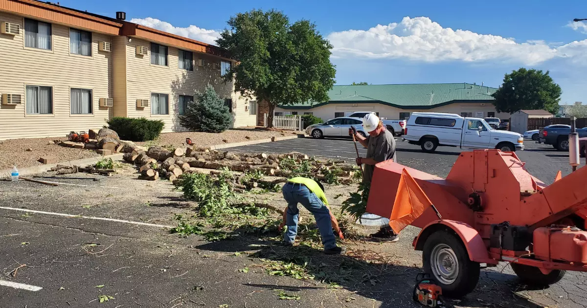 two men clearing the road with wood logs