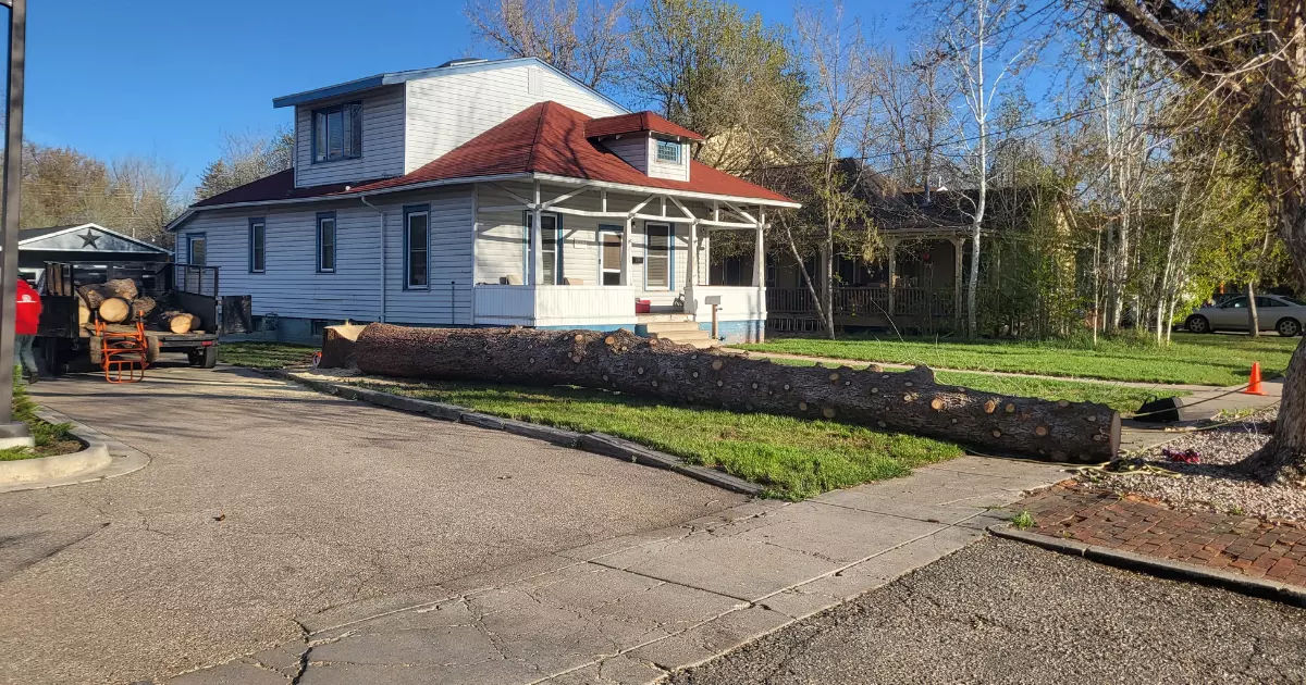 A house with a large log in front of it 