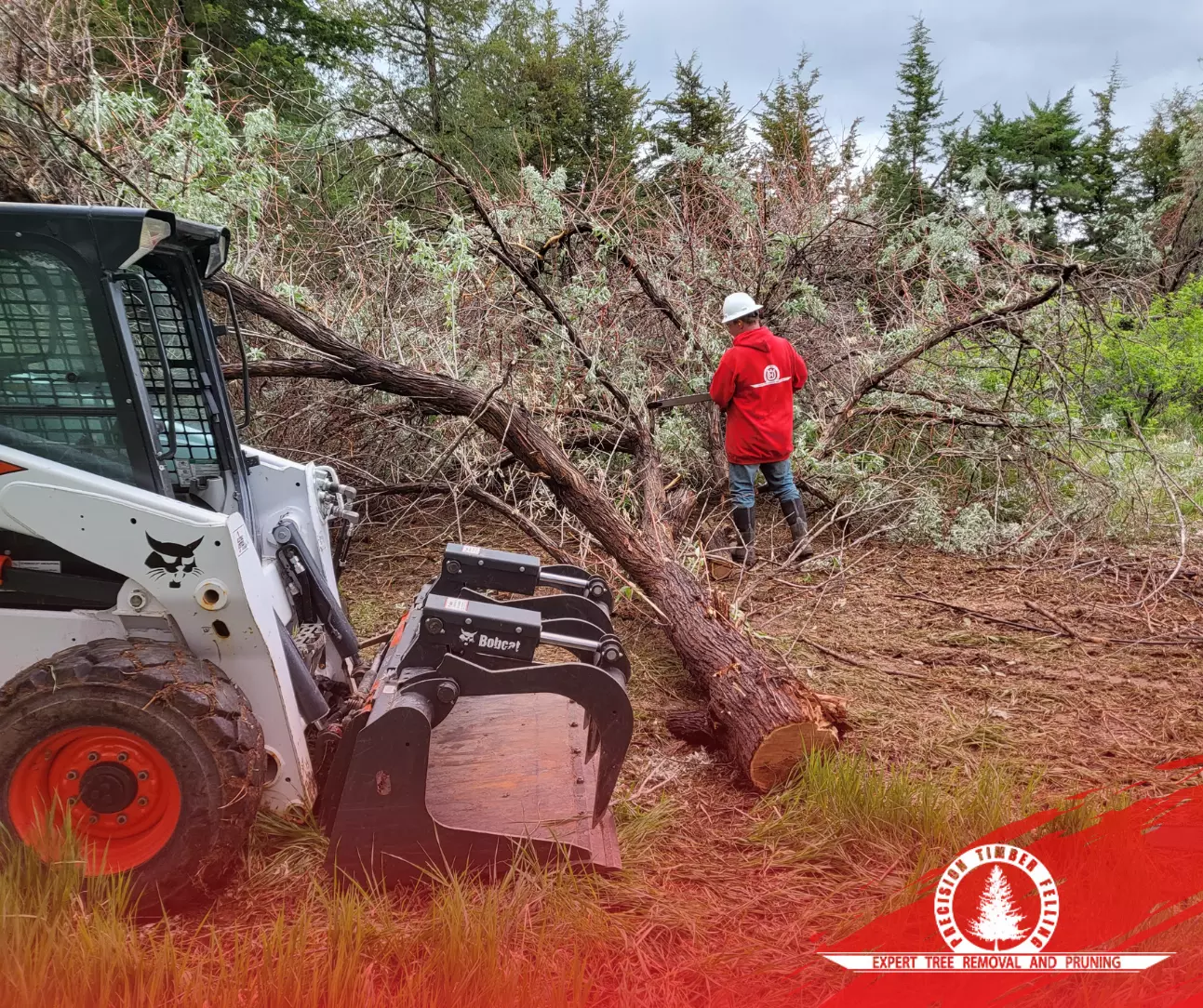 Efficient and Reliable Skid Steer Services