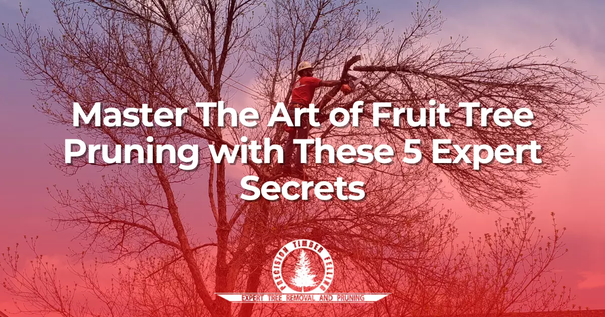 Fruit Tree Pruning