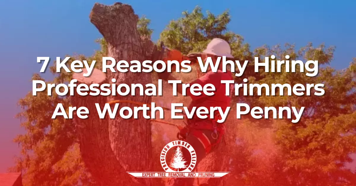 7 Key Reasons Why Hiring Professional Tree Trimmers Are Worth Every Penny