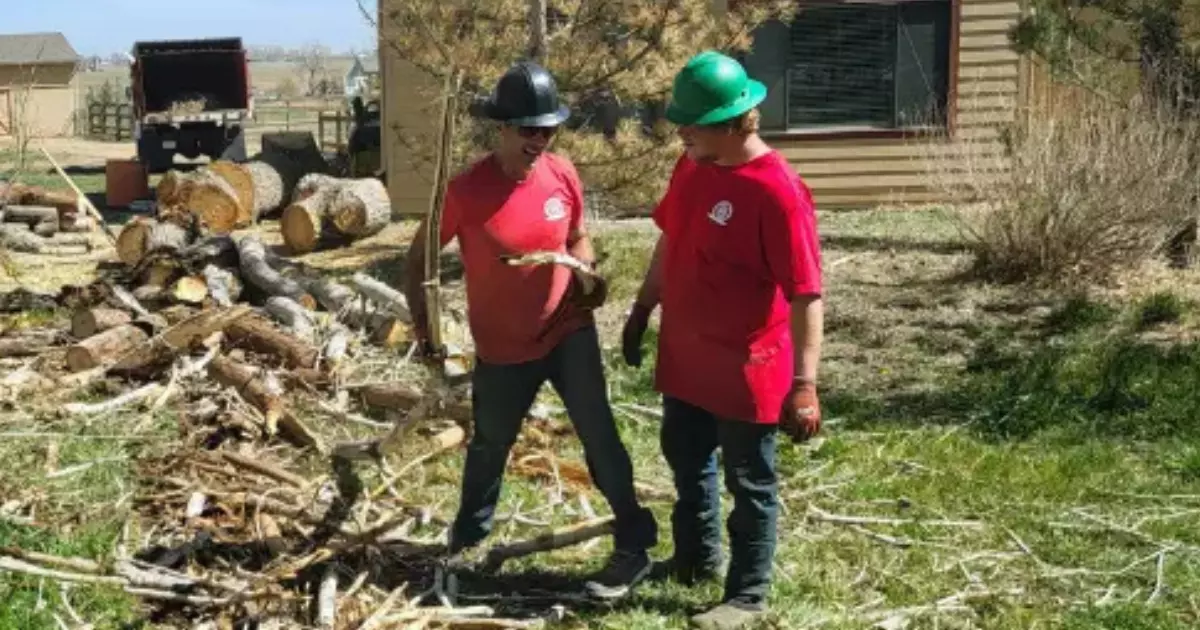 Two arborists in red shirts and safety helmets inspecting fallen branches and debris in a residential yard, showcasing the cleanup and tree care services provided by local arborists in Loveland.