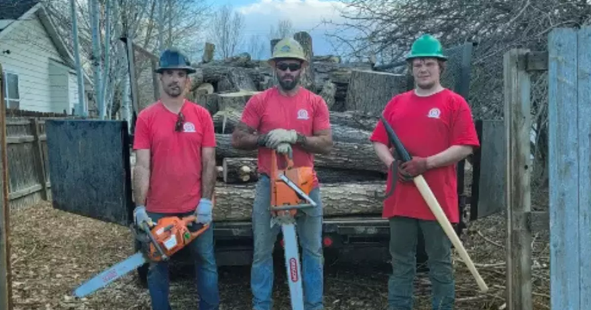 A team of local arborists in Loveland standing in front of a truck loaded with cut tree logs, holding chainsaws and tools, representing certified tree care professionals