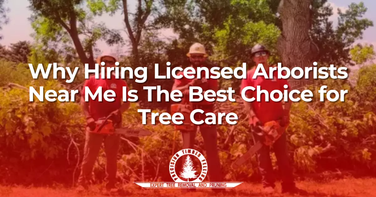 Licensed Arborists Near Me