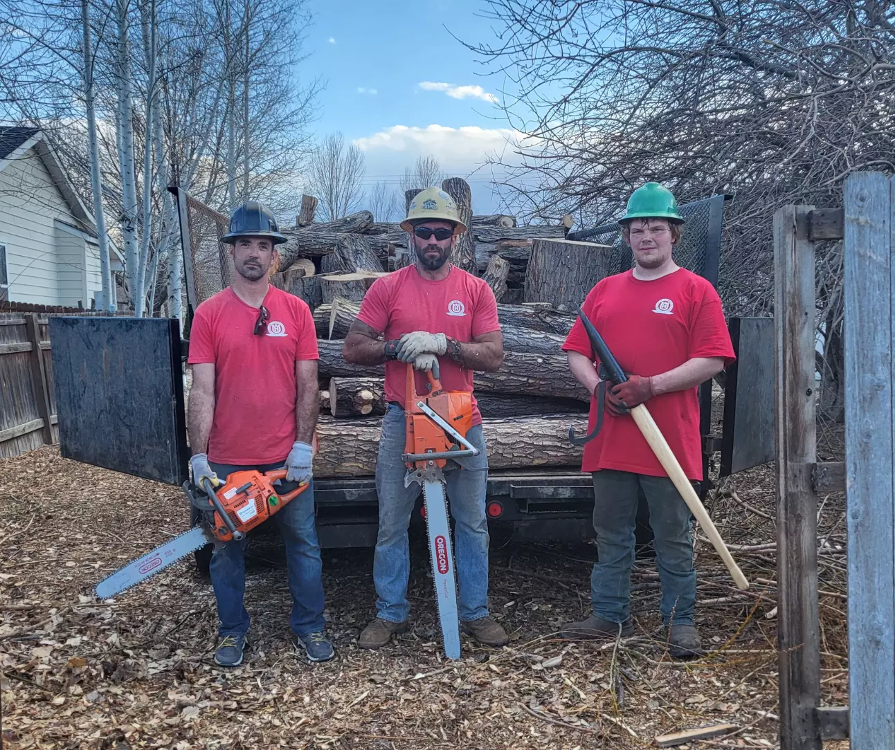 About Our Professional Tree Service Company in Windsor, Colorado About Our Professional Tree Service Company in Windsor Colorado