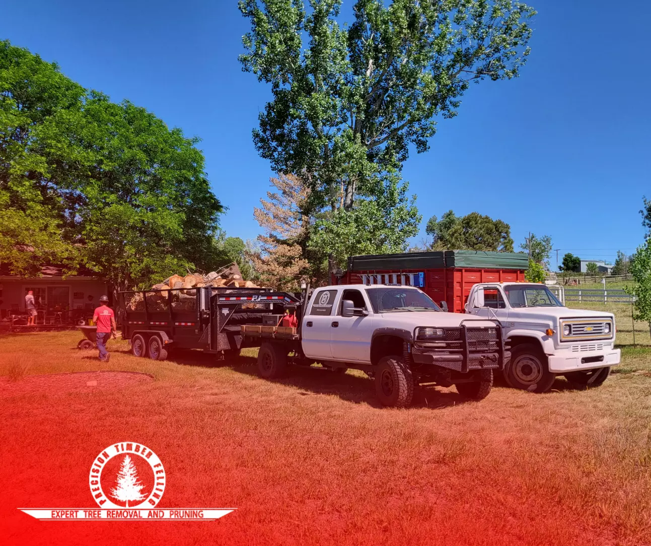 Elevate Your Outdoor Space with Professional Tree Services Elevate Your Outdoor Space with Professional Tree Services