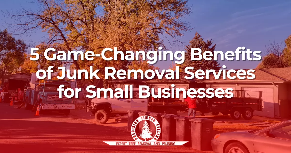 5 Game Changing Benefits of Junk Removal Services for Small Businesses