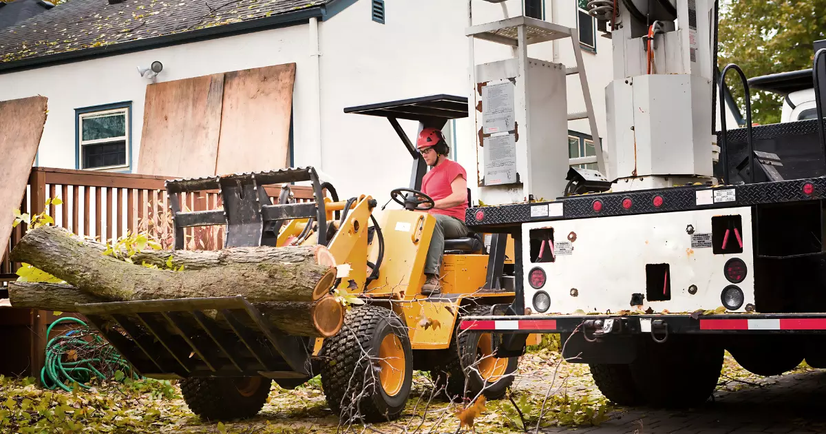 How Can Junk Removal Help Your Small Business
