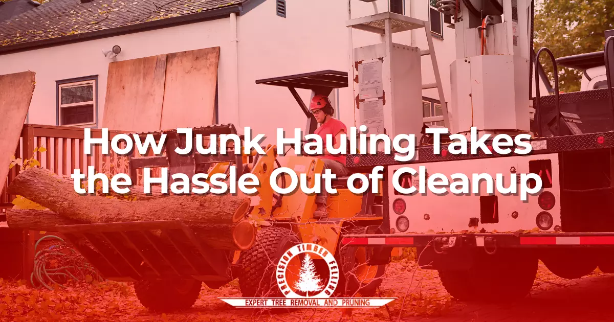 How Junk Hauling Takes the Hassle Out of Cleanup