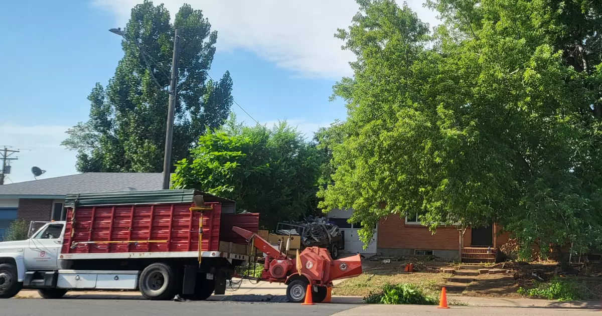 Tree and yard debris cleared using junk hauling trucks