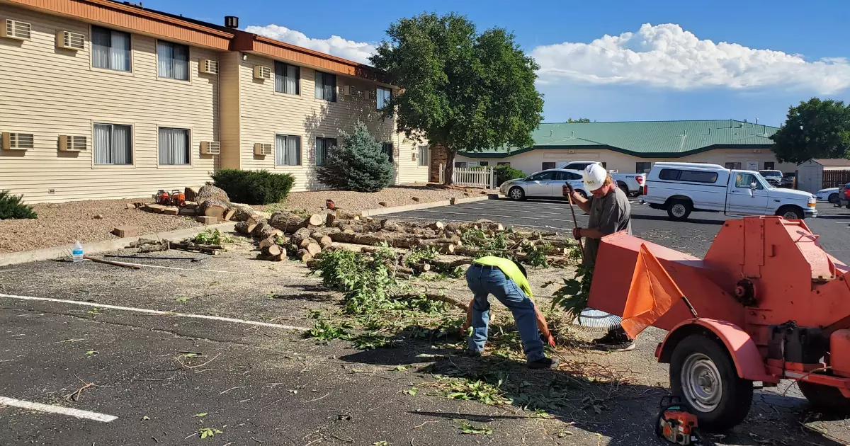 Workers using tools for junk hauling