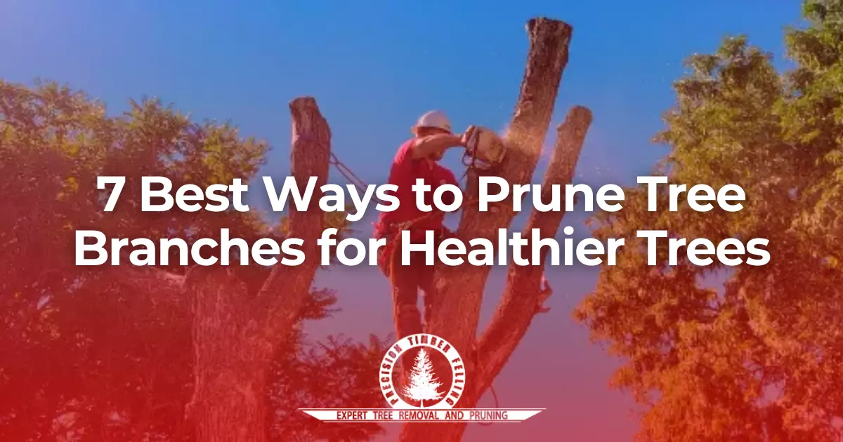 7 Best Ways to Prune Tree Branches for Healthier Trees